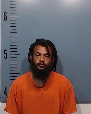 Watkins, Destin Nicholas arrested by Taylor County SO/PD