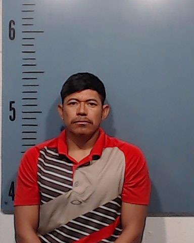 Munguia-Videa, Delmer booking photo