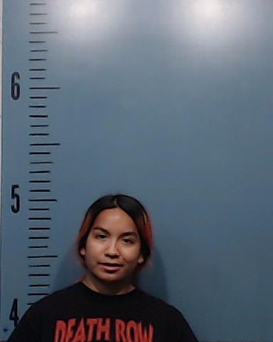 Peralez, Raquel booking photo