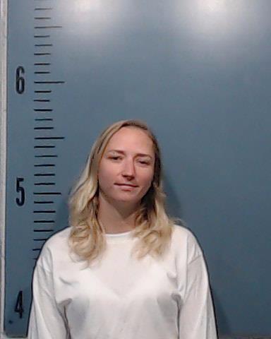 Logan, Brandy Nicole booking photo