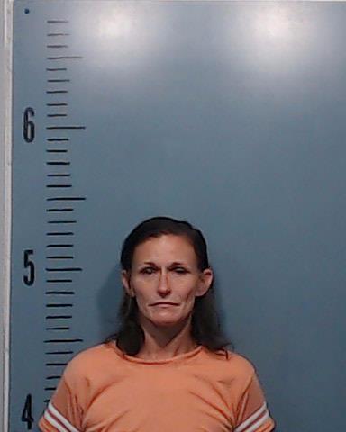 Steele, Jennifer Lynn booking photo