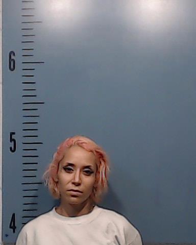 Dominguez, Samantha Christine arrested by Taylor County SO/PD