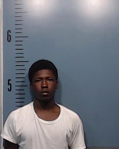 Lee, Trevon Treshawn arrested by Taylor County SO/PD