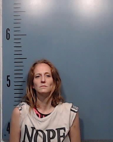 Hamel, Amber Marie arrested by Taylor County SO/PD