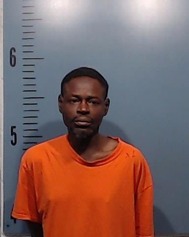 Polk, Ronald Bervan, Jr. arrested by Taylor County SO/PD