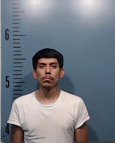 Perez, Andres, Jr. booking photo