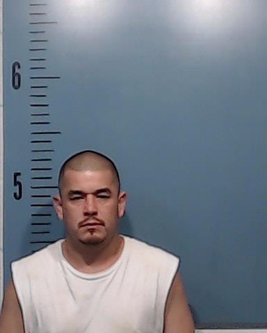 Saldana, Julio Santana booking photo