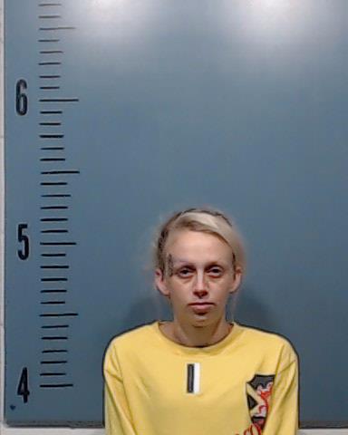 Robinson, Kirsten Leila booking photo