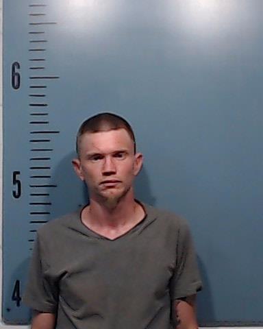 Hoff, Richard Taylor booking photo