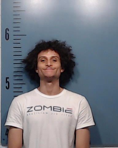 Dockins, Lekendrick Ryne booking photo