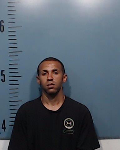 Whitney, Tyler Brant booking photo