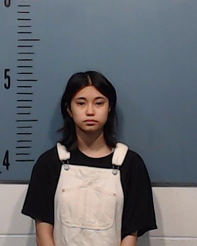 Nguyen, Tivona Thanhthanh booking photo