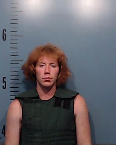 Davis, Tristen Michael booking photo