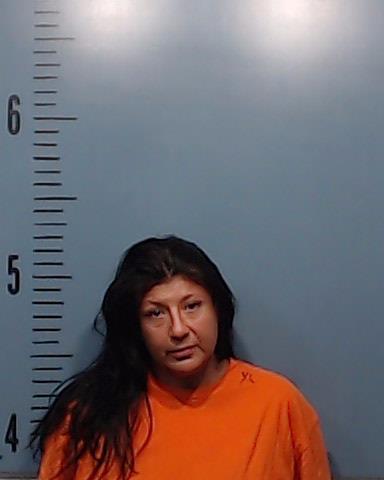 Sanchez, Jessica Loya booking photo