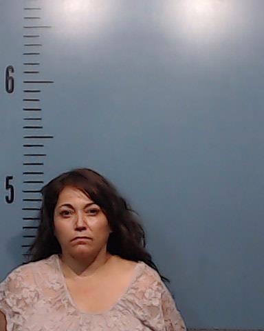 Mendoza, Diana Alicia booking photo
