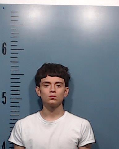 Godinez, Martin Hernandez, III booking photo