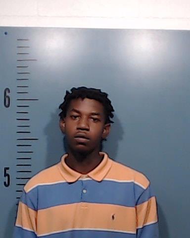 Lamb, Ivonyai Cashaun booking photo
