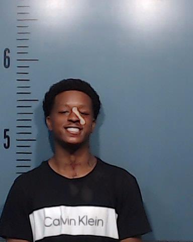 Williams, Devion Jontae booking photo