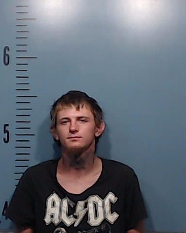 Cooper, Tyler Guinn Elvey booking photo