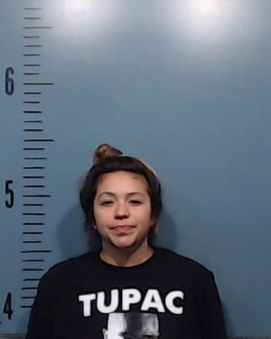 Ortiz, Adrianna Marie booking photo