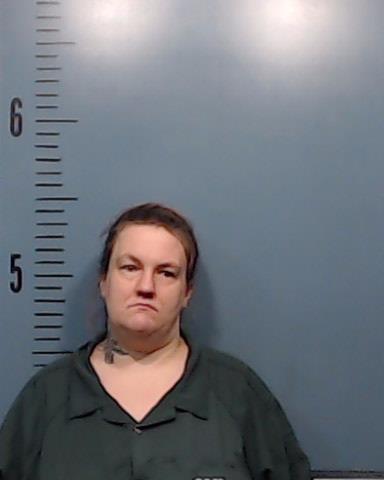 Timms, Amanda Caroline booking photo