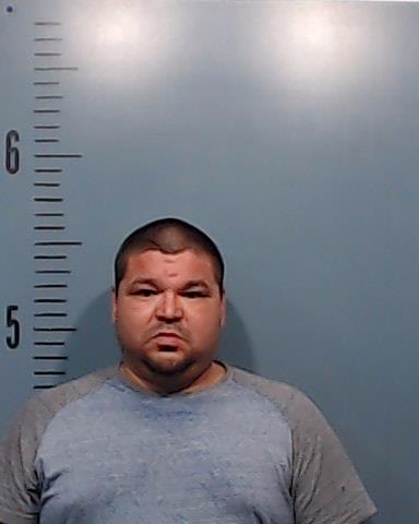 Pulido, Luis Enrique booking photo