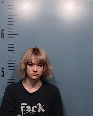 Mcgowen, Nadara Skylar booking photo