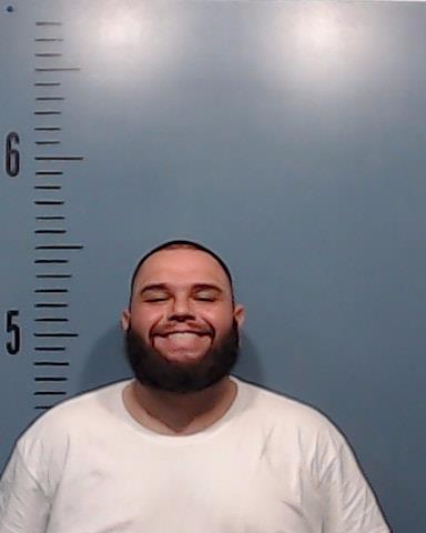 Fernandez, Joseph Ryan booking photo