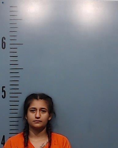 Diaz, Montana Sol booking photo