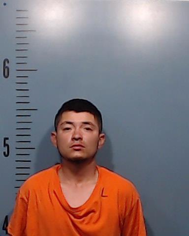 Villasana Herrera, Juan Vicente booking photo