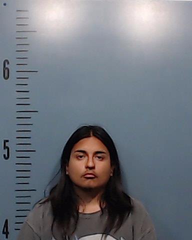 Herrera, Christian Elias booking photo