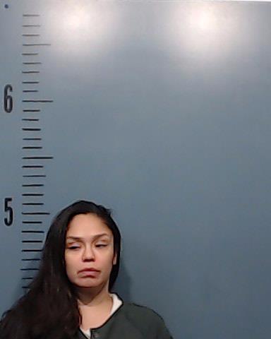 Torrez, Janna Renee booking photo