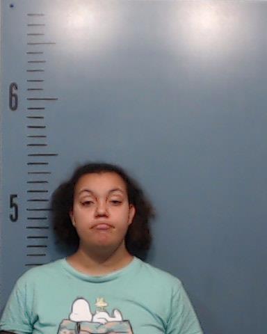 McDorman, Bethany Rose booking photo