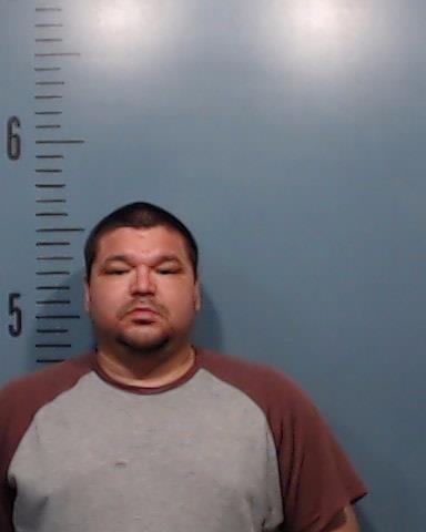 Pulido, Luis Enrique booking photo