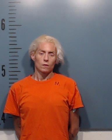 Sparks, Stephanie Lynn booking photo