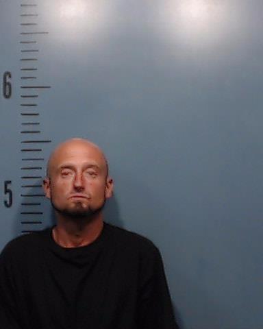 Towler, Jamie Lee booking photo