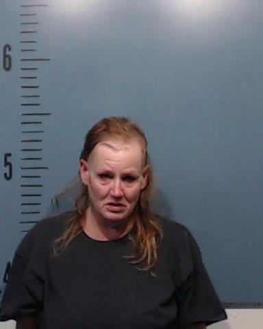 Langworthy, Susan Deshazo booking photo