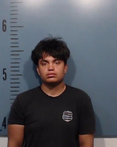 Zelaya-Sosa, Jorge Luis booking photo
