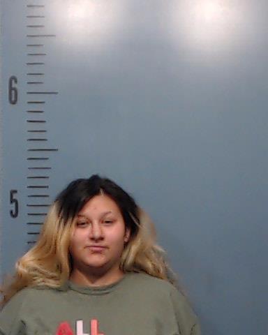 Hernandez, Guadalupe Nellie booking photo