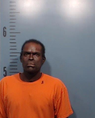 Watson, Tracy Lynn booking photo