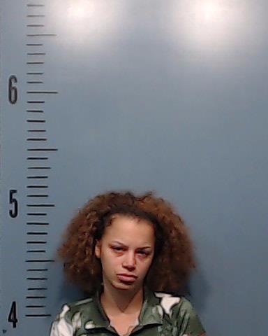 Schultz, Brittany Renay booking photo