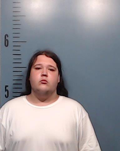 Andrews, Braiden Lee booking photo