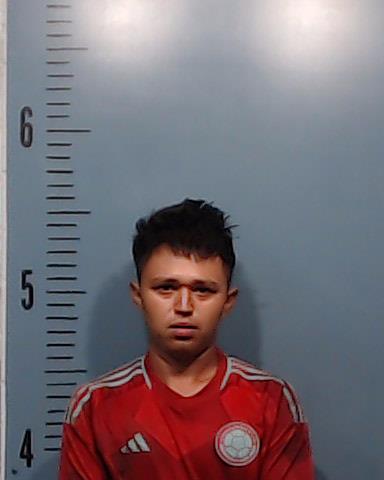 PINEDA-ZUNIGA, RONY booking photo