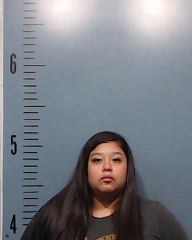 Gallegoz, Krystal Elizabeth booking photo