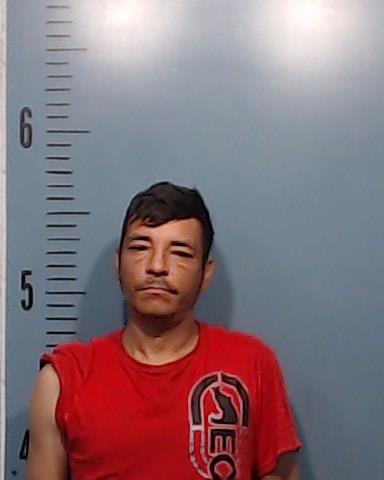 Avila-Vargas, Diogenes Emmanuel booking photo