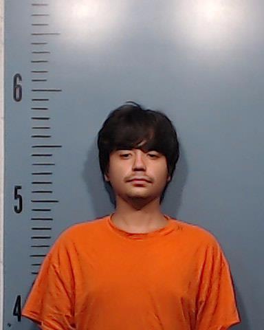 Nguyen, Thomas, Jr. booking photo