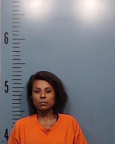 Donaghey, Felisita Villegas booking photo