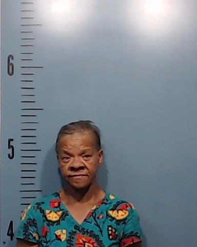 White, Sheila Ann booking photo