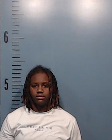 Turner, Dei'janae Monique booking photo