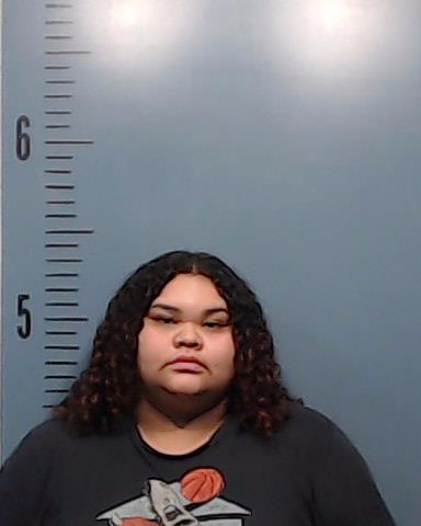 Renteria, Zenaida Aracely booking photo